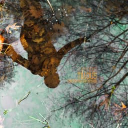 Mémoires parallèles