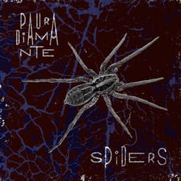 Spiders