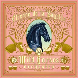 Etienne de la Sayette & the Wild Horses Orchestra