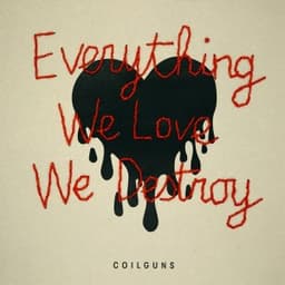 Everything We Love, We Destroy - Coilguns