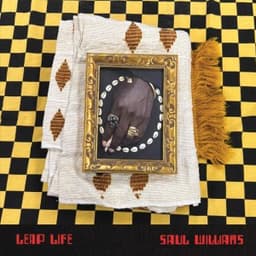 Leap Life - Saul Williams