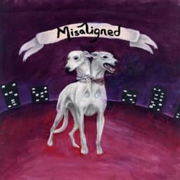 Misaligned - SNM