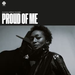 Proud of Me - ALA.NI & Adrian Younge