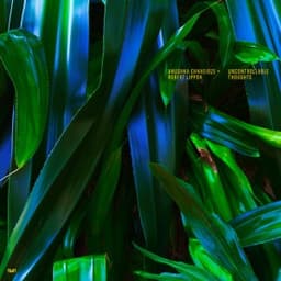 Uncontrollable Thoughts - Anushka Chkheidze & Robert Lippok