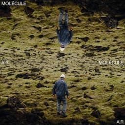 A:R - Molecule