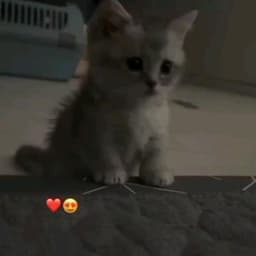 Hip (sped up) - Kynro