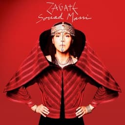 Congo Connection (feat. Youssoupha) - Souad Massi & Youssoupha