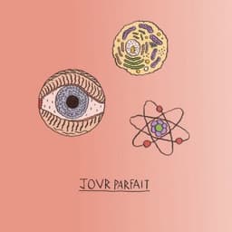 Jour parfait - Ben Lupus