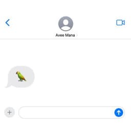 Green Budgie - Avee Mana