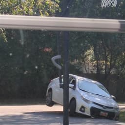 blossom - Summer 2000